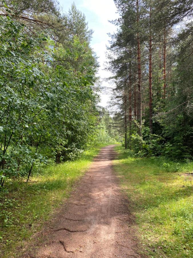 Myllykoski Apart Ummeljoki Экстерьер фото