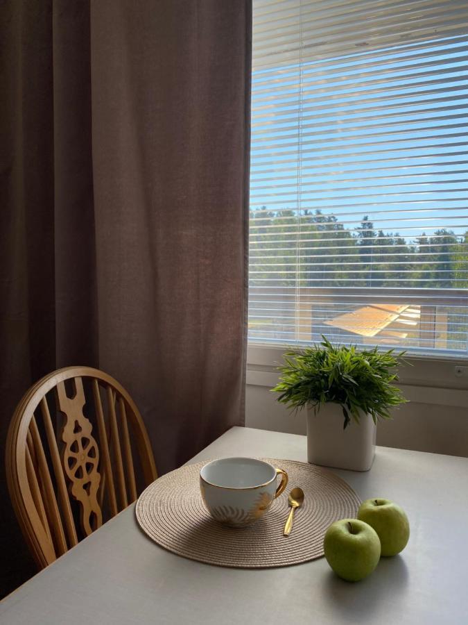 Myllykoski Apart Ummeljoki Экстерьер фото